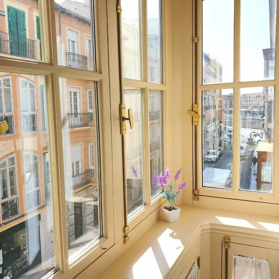 Gran Apartamento Centro Historico Malaga Apartment
