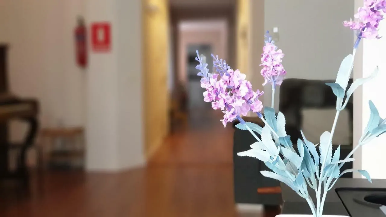 Gran Apartamento Centro Historico Malaga 0*,