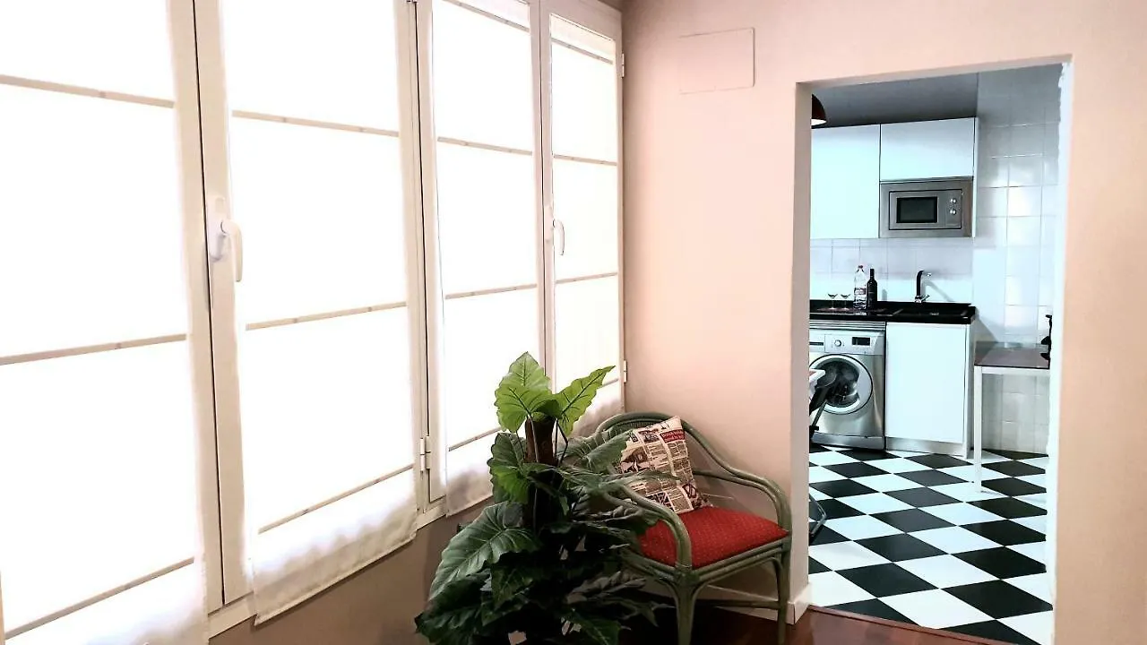 Gran Apartamento Centro Historico Malaga Apartment